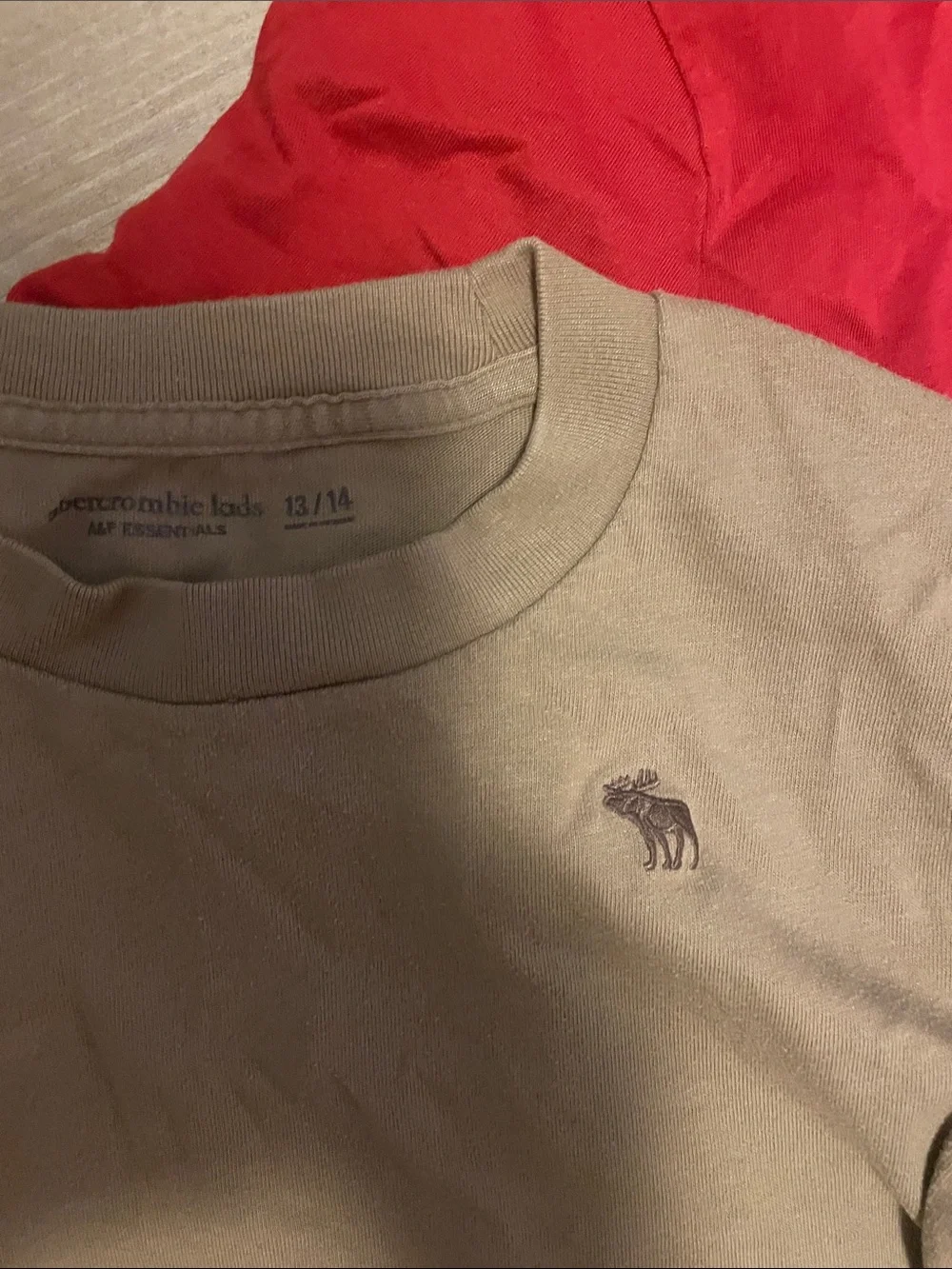 Abercrombie & Fitch Kid’s Crew Neck T-Shirt - Red, Gray, Brown